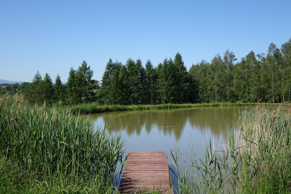 Attractions at the Manor