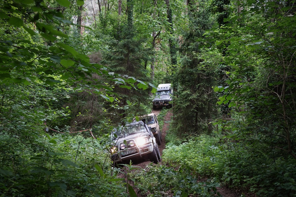 Outdoor events and picnics